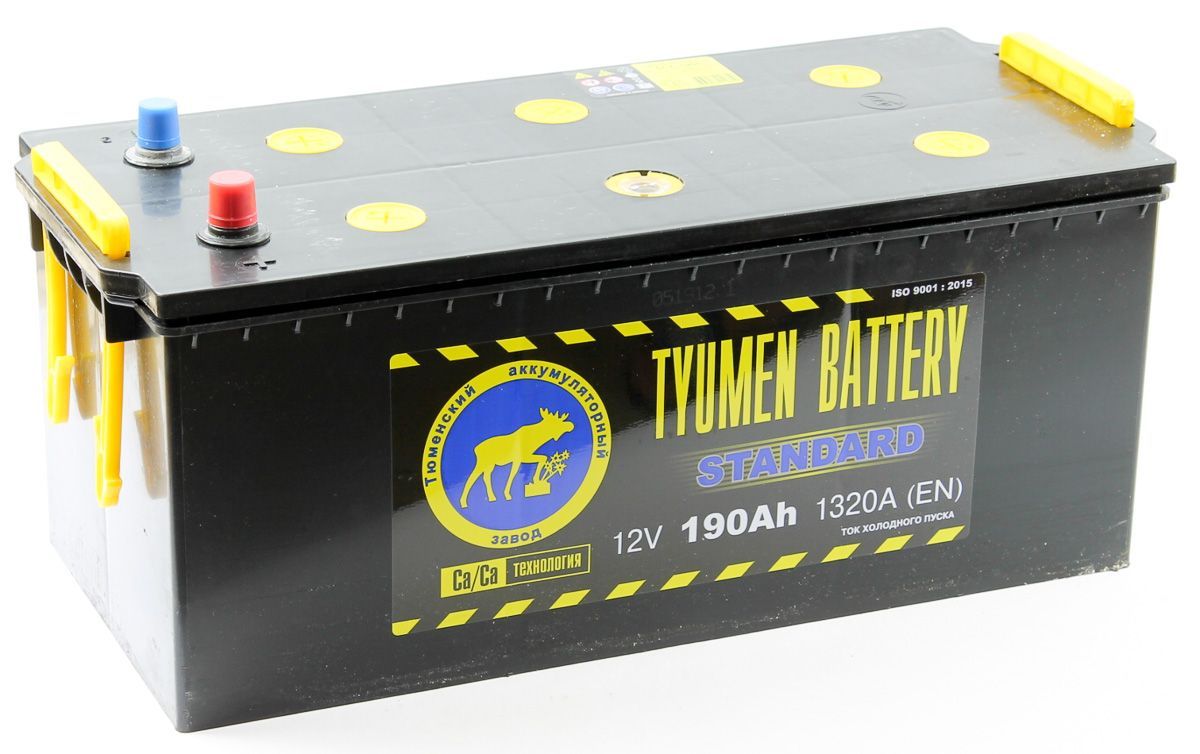Автомобильный аккумулятор Tyumen Battery 6ст-190N Standard (Сухозар), 190Ач, 1320 EN, болт, обр.